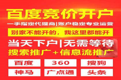 某电商平台的SEM营销推广实战经验